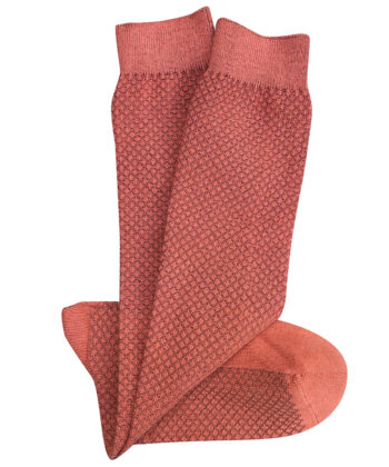 Hive Long Socks