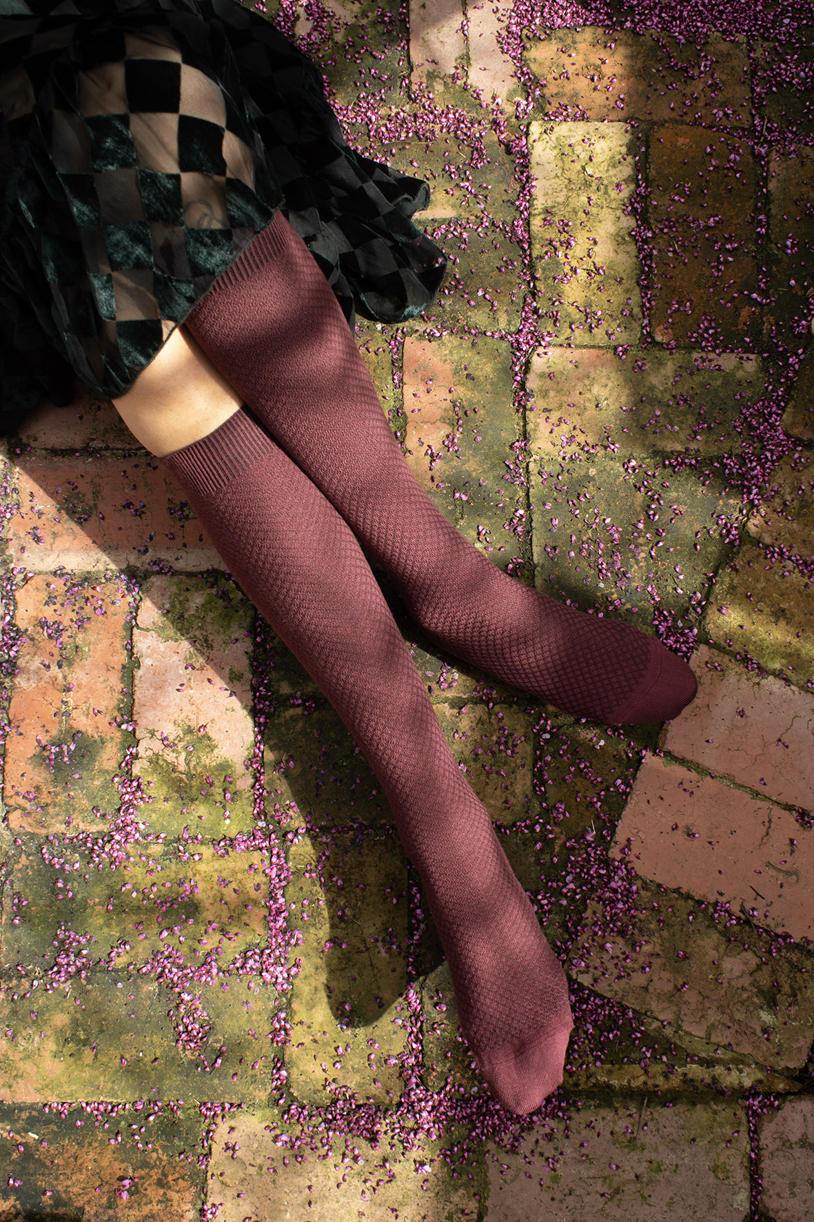 Hive Long Cotton Socks - Wine - Image 3
