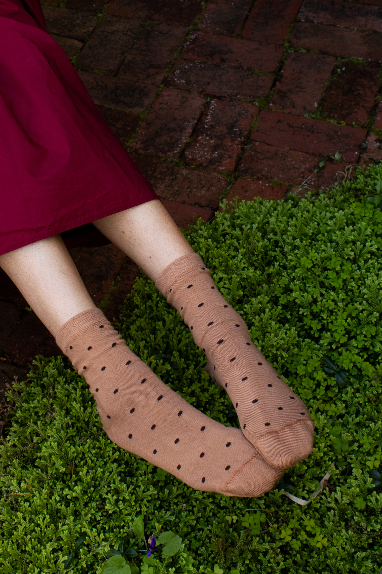Spotty Cotton Socks - Copper - Image 2